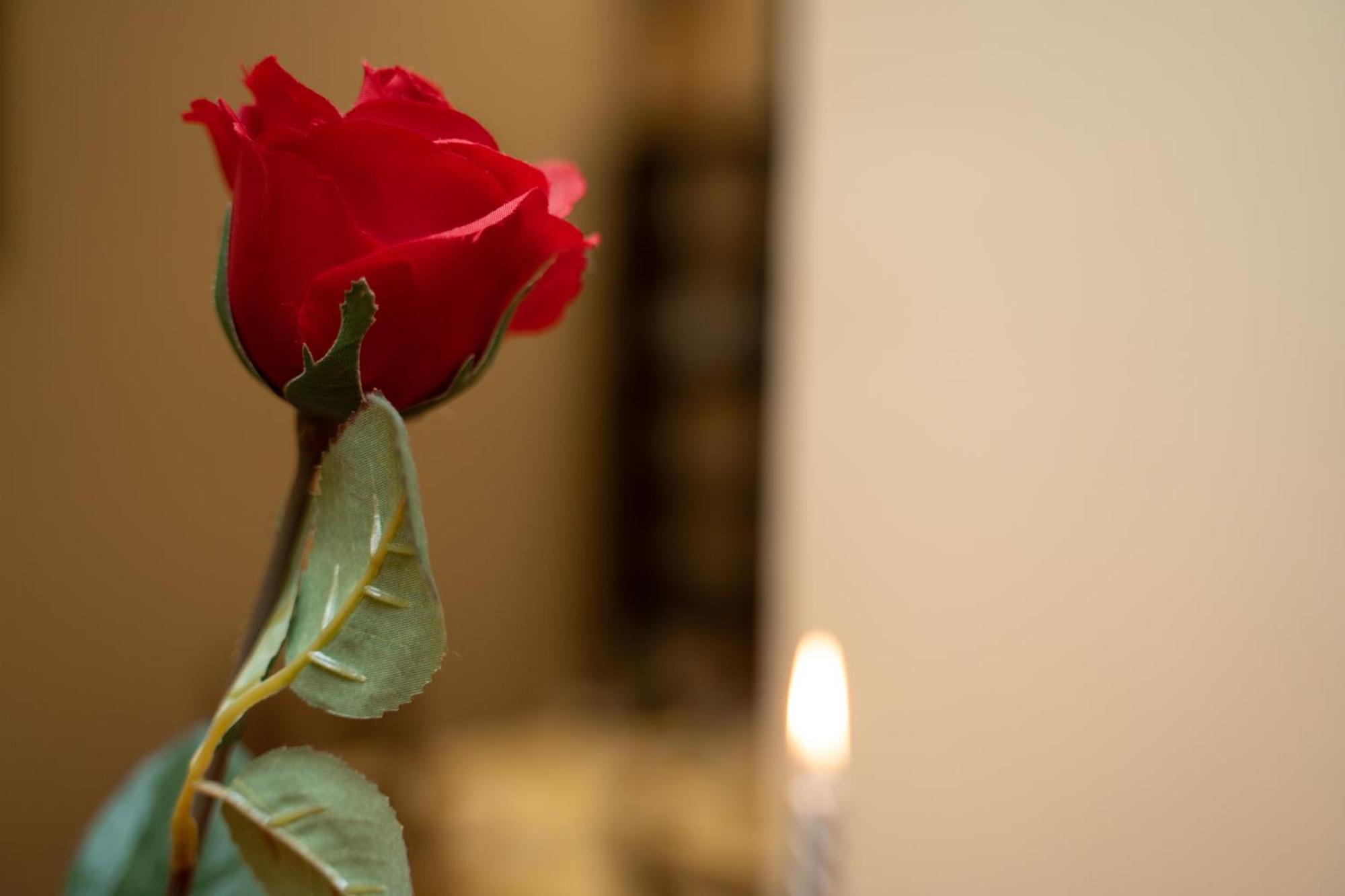 Navona Apartment Rzym Zewnętrze zdjęcie